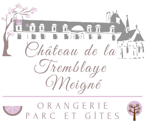 Château de la TRemblaye (Meigné 49)